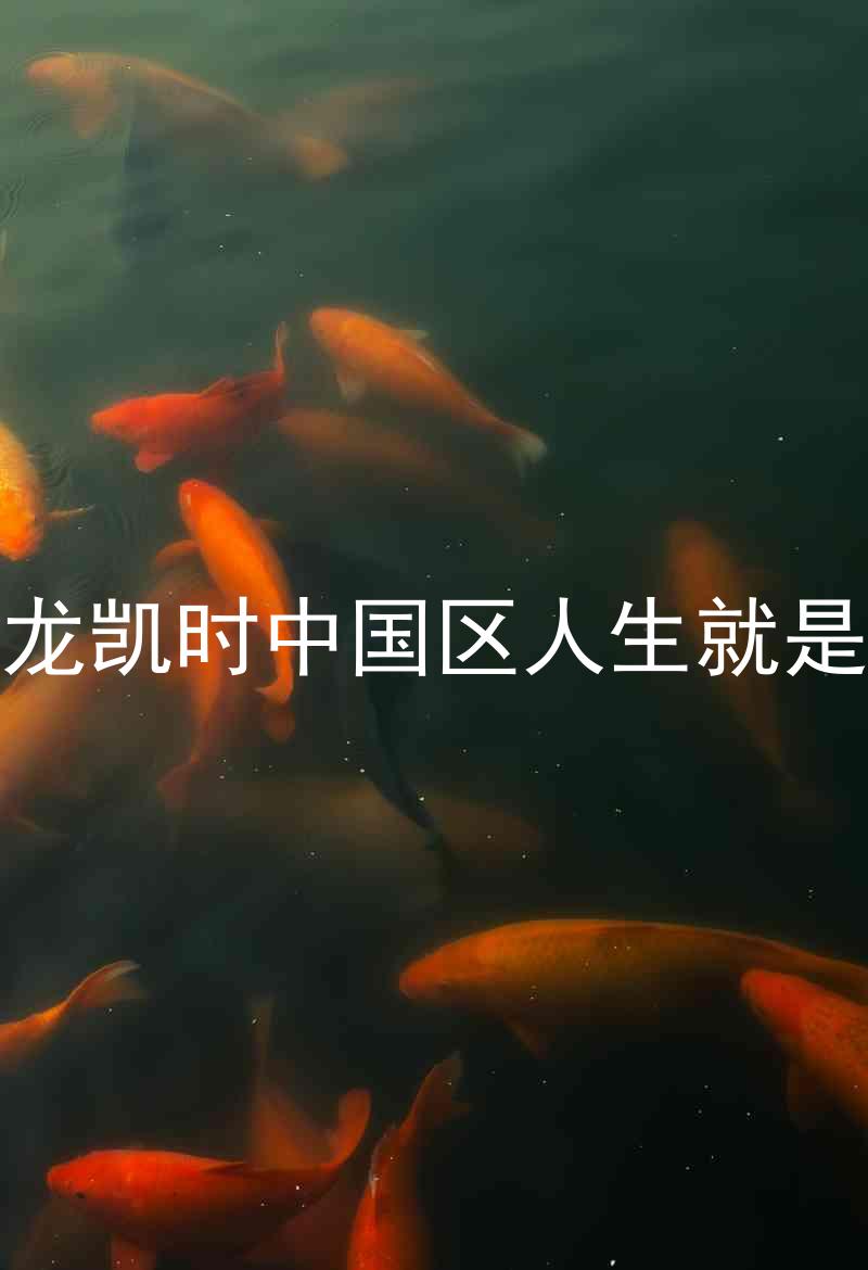 尊龙凯时中国区人生就是博